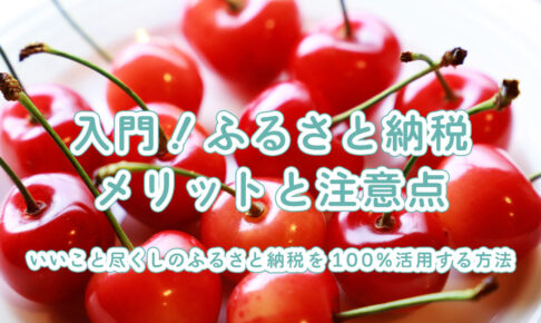 入門！ふるさと納税 メリットと注意点 ～いいこと尽くしのふるさと納税を100％活用する方法～